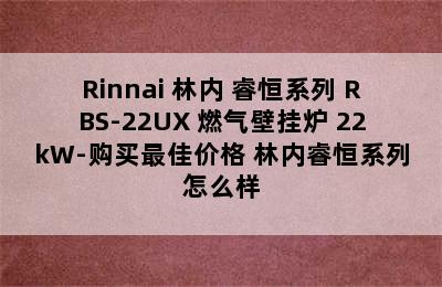 Rinnai 林内 睿恒系列 RBS-22UX 燃气壁挂炉 22kW-购买最佳价格 林内睿恒系列怎么样